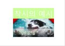 색채학_디자인_착시 52페이지