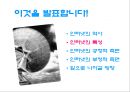 매스컴과 정보사회‘인터넷 (internet)’  8페이지