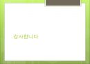 녹색신문 만들기 7페이지