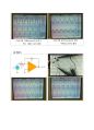 [전자전기설계실험 03] 07주차 (결과) 연산 증폭기 & 다이오드 (Operational Amplifier & Diode) : OP-Amp 와 Diode를 사용하여 미분기 및 적분기, OP-Amp Comparator, Active Peak Detector를 설계 및 특징 5페이지