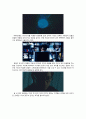 [영화 감상문] M (엠) 3페이지