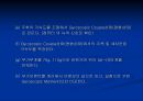 공학실험 - 자이로스코프[Gyroscope]의 동특성 실험 10페이지