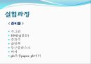 화공기초실험 - ICPMS 결과 2페이지
