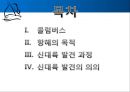 콜럼버스의 대서양 항해 물류, 경제적 측면  2페이지