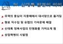 콜럼버스의 대서양 항해 물류, 경제적 측면  17페이지