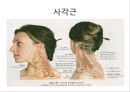 경추 염좌의 재활 운동.PPT자료 6페이지