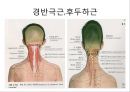 경추 염좌의 재활 운동.PPT자료 8페이지