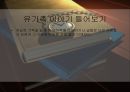 자살예방 프로그램 계획서.pptx 11페이지