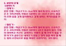 자연분만 9페이지
