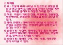 자연분만 29페이지