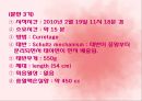 자연분만 34페이지