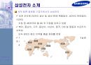 삼성전자의 헝가리와 베트남 진출 및 현지화전략 비교 3페이지