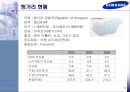 삼성전자의 헝가리와 베트남 진출 및 현지화전략 비교 4페이지