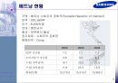 삼성전자의 헝가리와 베트남 진출 및 현지화전략 비교 5페이지