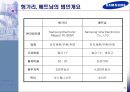 삼성전자의 헝가리와 베트남 진출 및 현지화전략 비교 6페이지