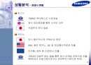 삼성전자의 헝가리와 베트남 진출 및 현지화전략 비교 9페이지