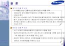 삼성전자의 헝가리와 베트남 진출 및 현지화전략 비교 22페이지