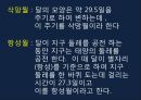 달의운동  11페이지