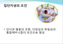 집단지성 6페이지
