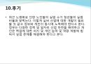 정부의 실업 대책 13페이지