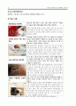 [NGO 분석]  역할과 기능, 시민단체  (함께하는 사랑밭) 주요사업, NGO(시민단체) 함께하는 사랑밭 업무,  결론 등등 12페이지