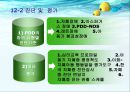[자폐성장애 특수교육 ] 자폐성장애의 정의, 자폐성장애 진단과 평가, 자폐성장애 특성, 자폐성장애 특수 교육적 접근 8페이지