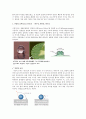 나노 기술과 섬유산업 , 나노섬유(nano fiber) 의복, 나노가공제 의복, 미래의 나노의복 20페이지