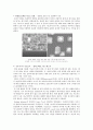 나노 기술과 섬유산업 , 나노섬유(nano fiber) 의복, 나노가공제 의복, 미래의 나노의복 21페이지