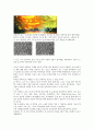 나노 기술과 섬유산업 , 나노섬유(nano fiber) 의복, 나노가공제 의복, 미래의 나노의복 33페이지