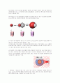 나노 기술과 섬유산업 , 나노섬유(nano fiber) 의복, 나노가공제 의복, 미래의 나노의복 38페이지