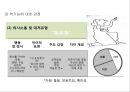[사티어(Satir)의 경험적 가족치료] 경험주의 가족치료 접근법의 배경, 사티어의 성장모델, 사티어 변형 체계적 치료, 사례.PPT자료 11페이지