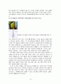 코카콜라(브랜드·스포츠·TV광고·캐릭터마케팅,코카콜라 기네스북),세계시장진출(프랑스,중국,일본,페루,한국),경쟁사 비교(펩시콜라,815콜라,칠성사이다) 18페이지