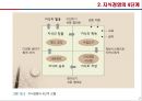 [경영학] 지식경영 - 지식경영의 개념, 지식경영의 4단계, 부문별 지식경영전략, 21세기 지식경영체제.PPT자료 7페이지