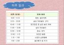 연세대학교 부설 교육기관 교육내용, 교수방법, 연세 개방주의 교육과정 분석 17페이지