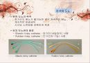 [의학간호기초] 배뇨기계 기능장애 - 요실금(Urinary incontinence).PPT자료 27페이지