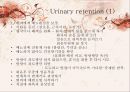 [의학간호기초] 배뇨기계 기능장애 - 요실금(Urinary incontinence).PPT자료 30페이지
