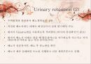 [의학간호기초] 배뇨기계 기능장애 - 요실금(Urinary incontinence).PPT자료 31페이지
