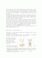 DNA (Deoxyribonucleic Acid)가 유전물질이라는 실험적 증거 & 멘델의 유전법칙 5페이지
