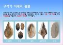 선사시대의 생활 3페이지
