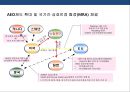 물류보안에 대한 이해 & 국내외 물류보안 현황 [물류보안에 대한 이] 22페이지