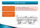 간척지의 농경지 활용 방안 18페이지