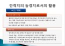 간척지의 농경지 활용 방안 19페이지