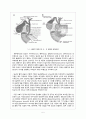 Gallbladder stone Laparoscopic cholecystectomy 담석증 복강경 담낭 절제술 (GB stone gallbladder stone 담석증) case study 5페이지