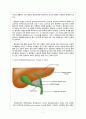 Gallbladder stone Laparoscopic cholecystectomy 담석증 복강경 담낭 절제술 (GB stone gallbladder stone 담석증) case study 7페이지