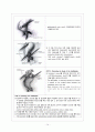Gallbladder stone Laparoscopic cholecystectomy 담석증 복강경 담낭 절제술 (GB stone gallbladder stone 담석증) case study 14페이지