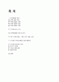 [ 수직적통합 성공사례분석 보고서 ] CJ E&M 수직적통합 사례분석과 CJ E&M 향후비전분석 2페이지