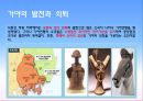 삼국의 성립과 발전 13페이지