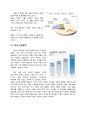 국순당 프랑스진출 마케팅전략(SWOT,STP,4P) 분석과 국순당 유럽시장 확장계획분석및 나의의견 3페이지