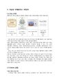 국순당 프랑스진출 마케팅전략(SWOT,STP,4P) 분석과 국순당 유럽시장 확장계획분석및 나의의견 11페이지