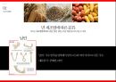 자원론 10페이지